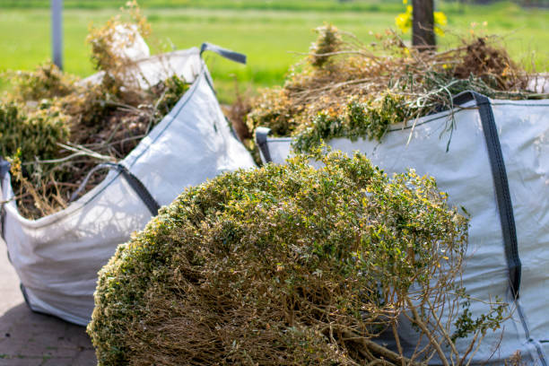 Property Management Cleanouts in Ouray, CO